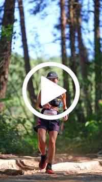 BIB:  <button type="button" onclick="openModal(26787574)" class="btn btn-primary btn-sm float-right" data-toggle="modal" data-target=".modal-high-quality">
                <i class="fa fa-download"></i> Download
                </button>